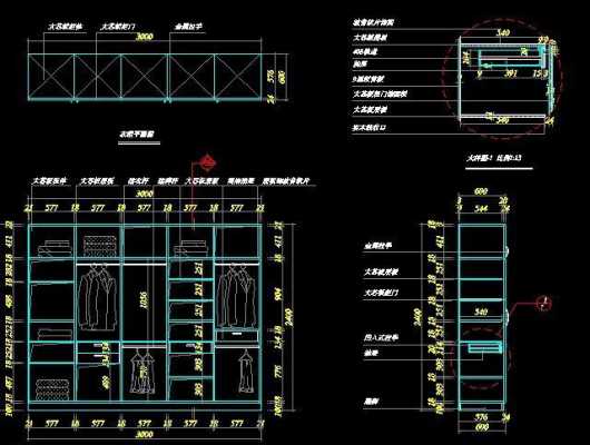 欧式衣柜用施工图（欧式衣柜用施工图纸吗）-图2